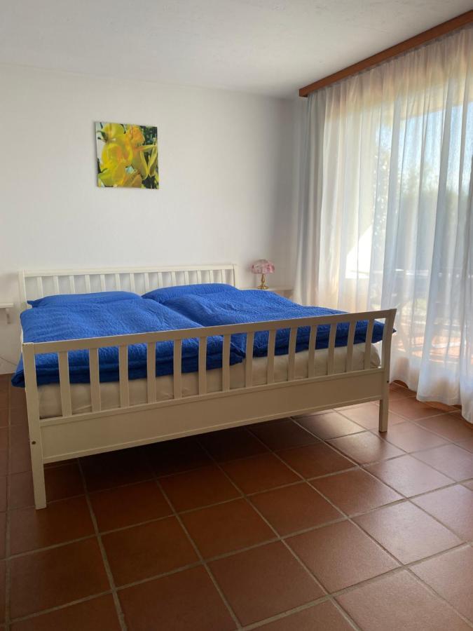 Casa Vignole-Badasci Orselina エクステリア 写真
