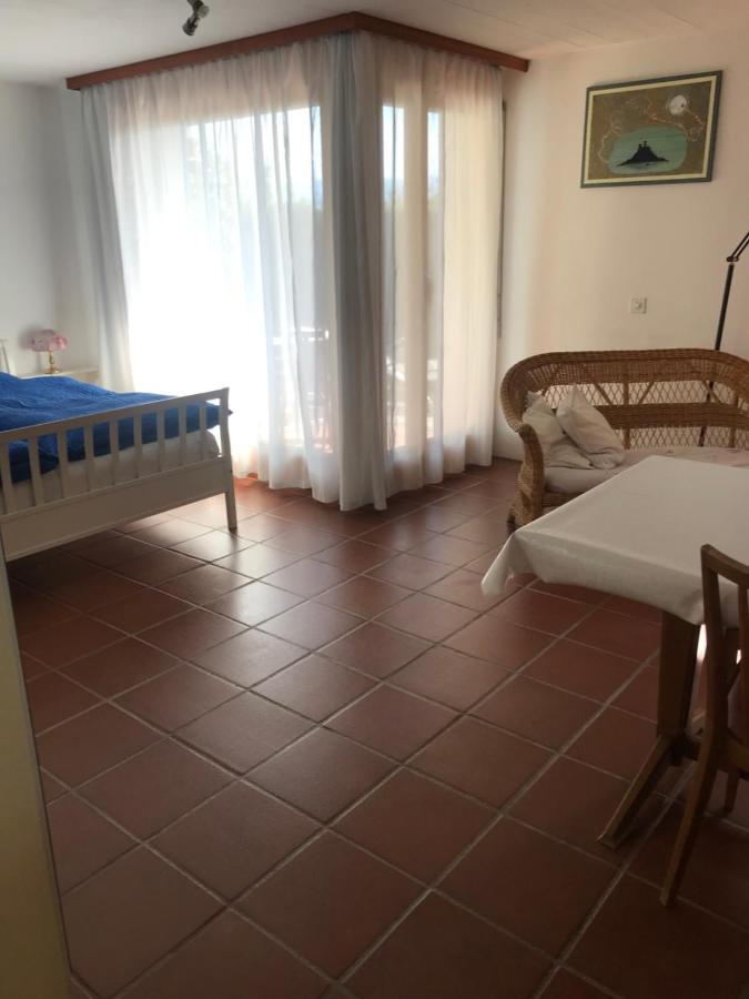Casa Vignole-Badasci Orselina エクステリア 写真
